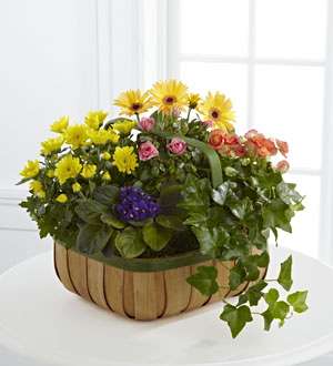El FTD ® Gentle Blossoms ™ Basket