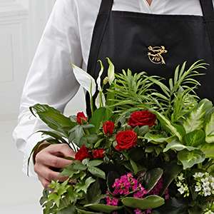FTD Florist Designed Plants in a Basket