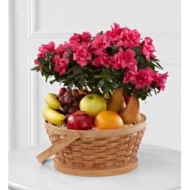 El FTD ® Encircling Gracia ™ Fruit & Plant Basket