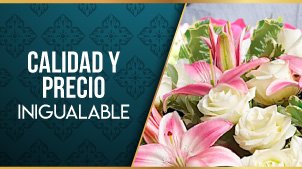 Envio de Flores a Domicilio en New Jersey - FlowerstoUS.com